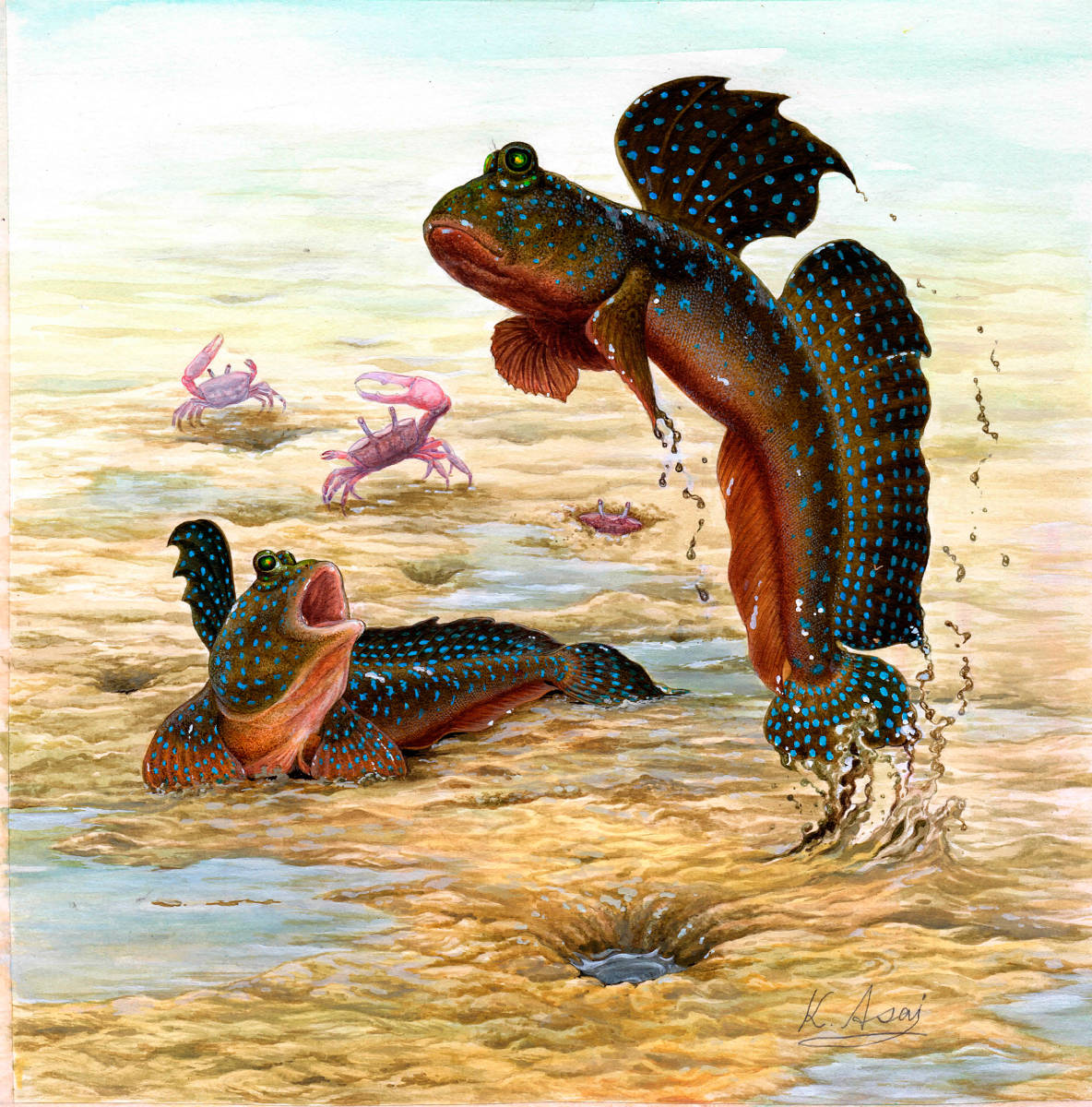 水彩画 生物細密画「ムツゴロウ」 真作｜Yahoo!フリマ（旧PayPayフリマ）