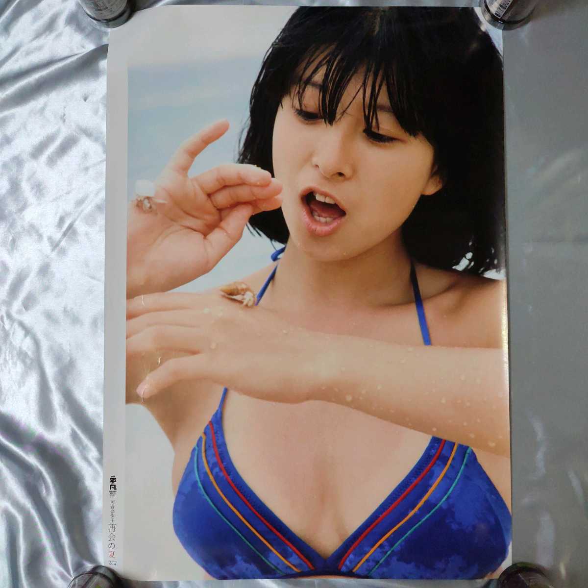 Yahoo!オークション - 河合奈保子 再開の夏2017 ポスター B2サイズ