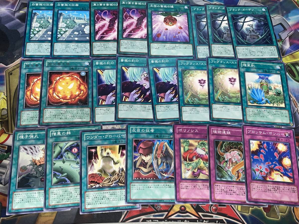 遊戯王 5D's 十六夜アキデッキセット ブラックローズドラゴン ブラッド