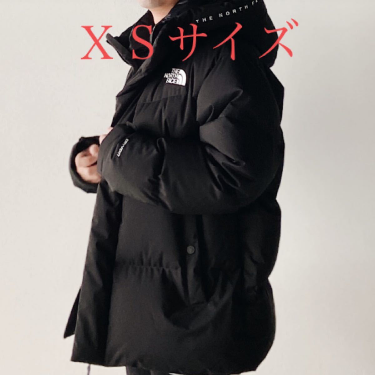 THE NORTH FACE 新品未使用 韓国正規品 ノースフェイス フリームーブ