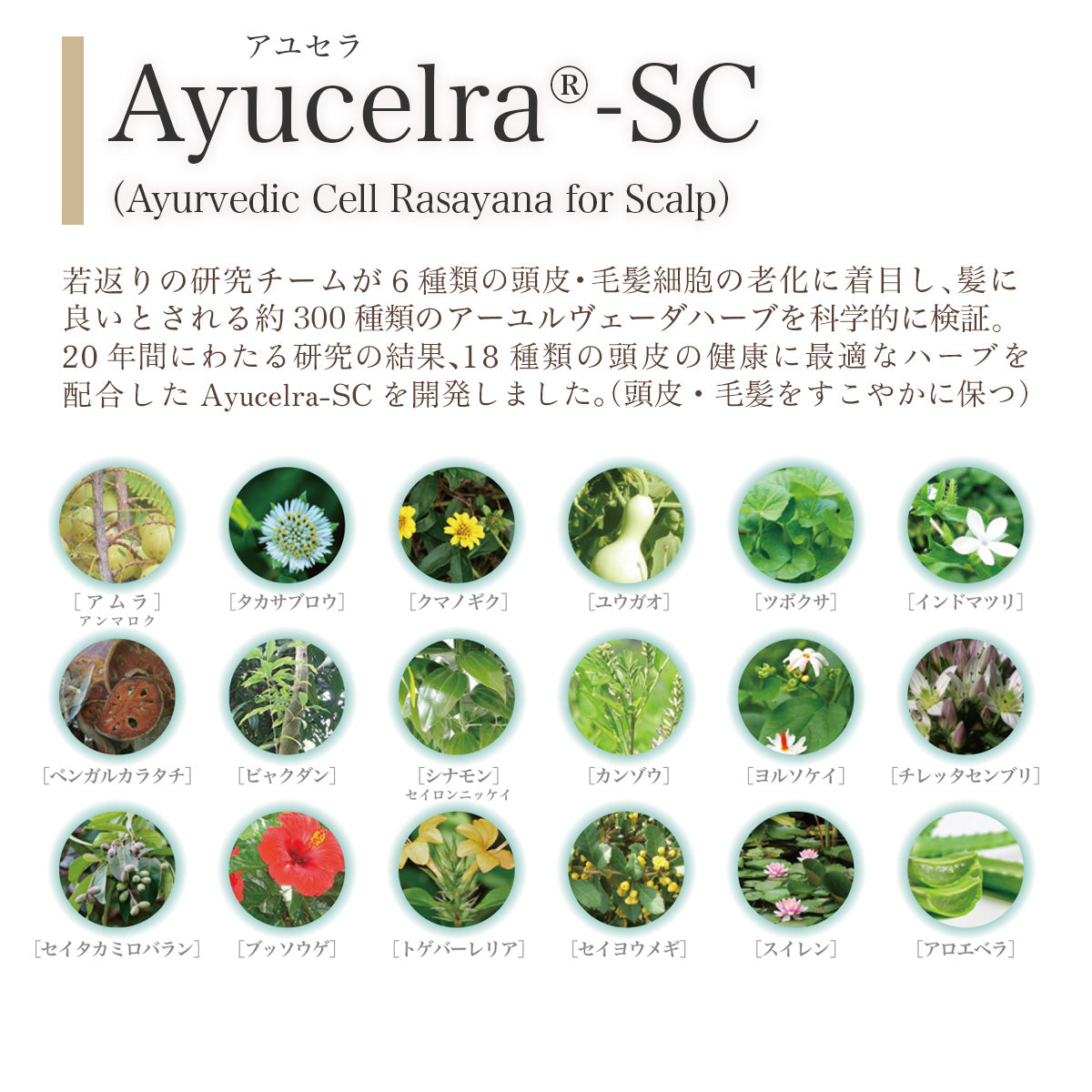 髪のインナーケア【肌や頭皮にやさしいヘアトリートメント】