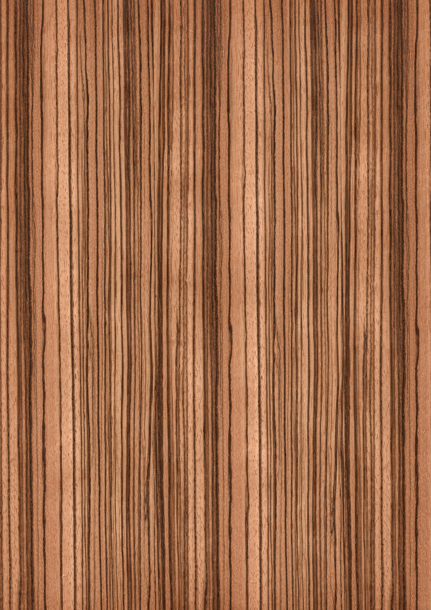 568eef4690e8b2fc5f3aee692e360a