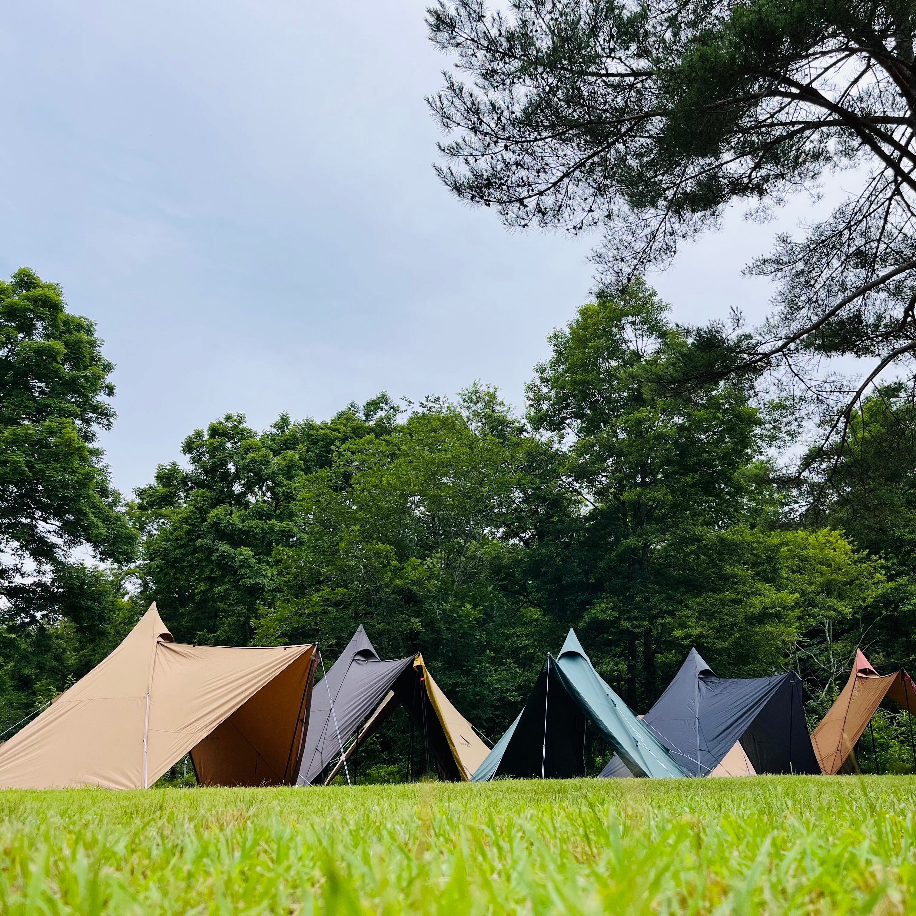 新品・フルサイズグラウンドシートセット] tent-Mark DESIGNS サーカス