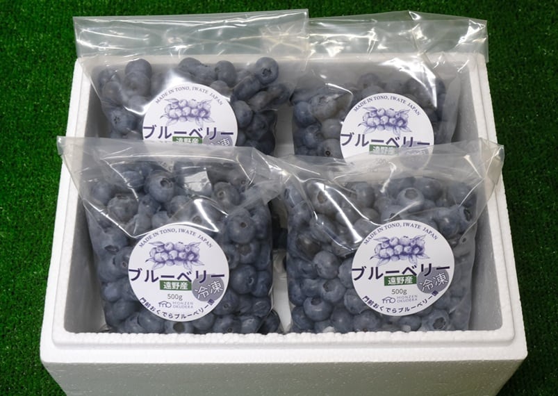 門前おくでらブルーベリー園