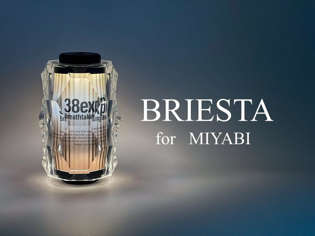 BRIESTA38灯 LEDライトカバー ナッツ NUTS ブリエスタ BRIESTA 38灯