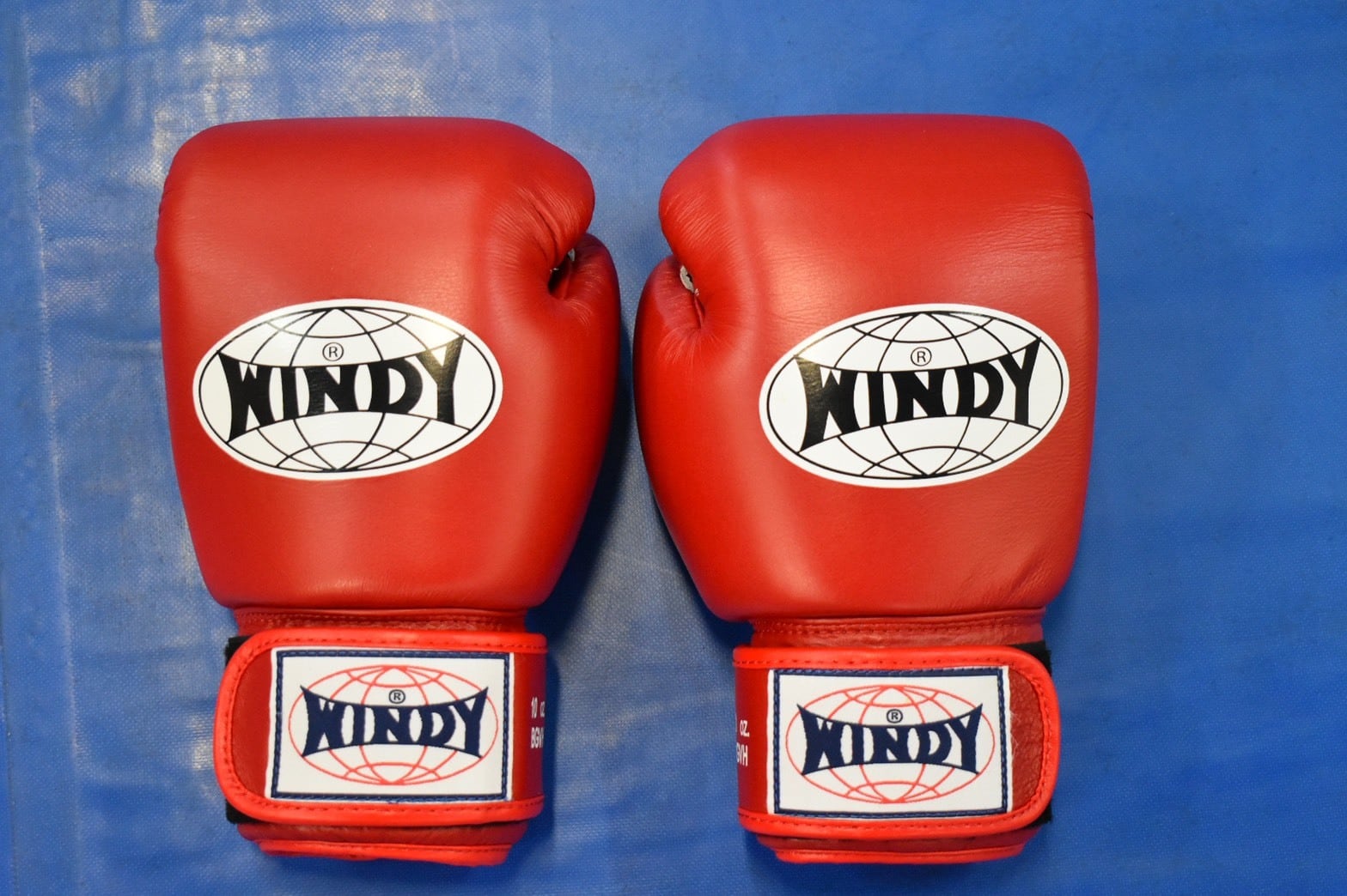 WINDYグローブRED 10OZ | GRAPPLING SHOOT BOXERS ONLINE