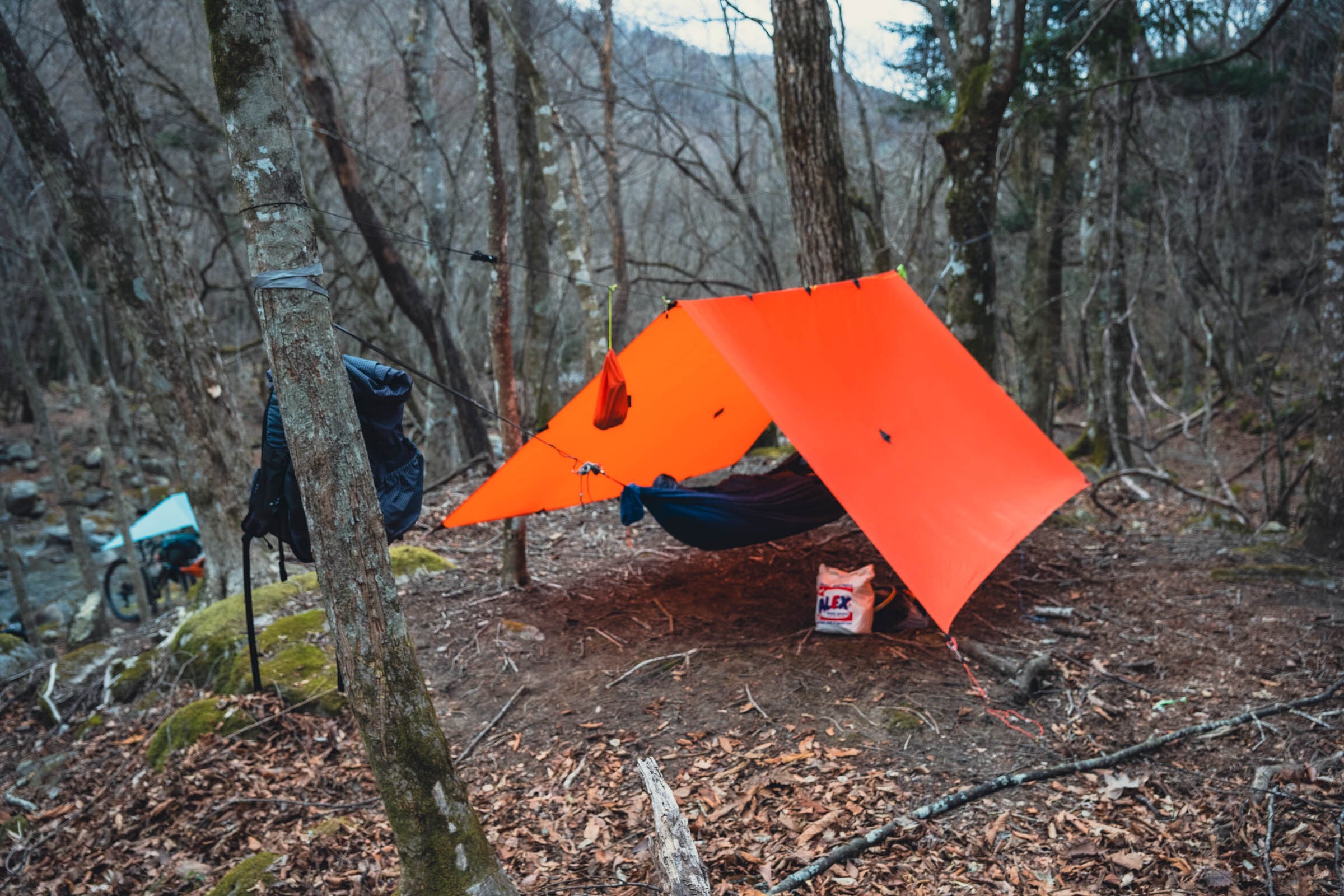 PB Tarp 8×10 Versatile Roof