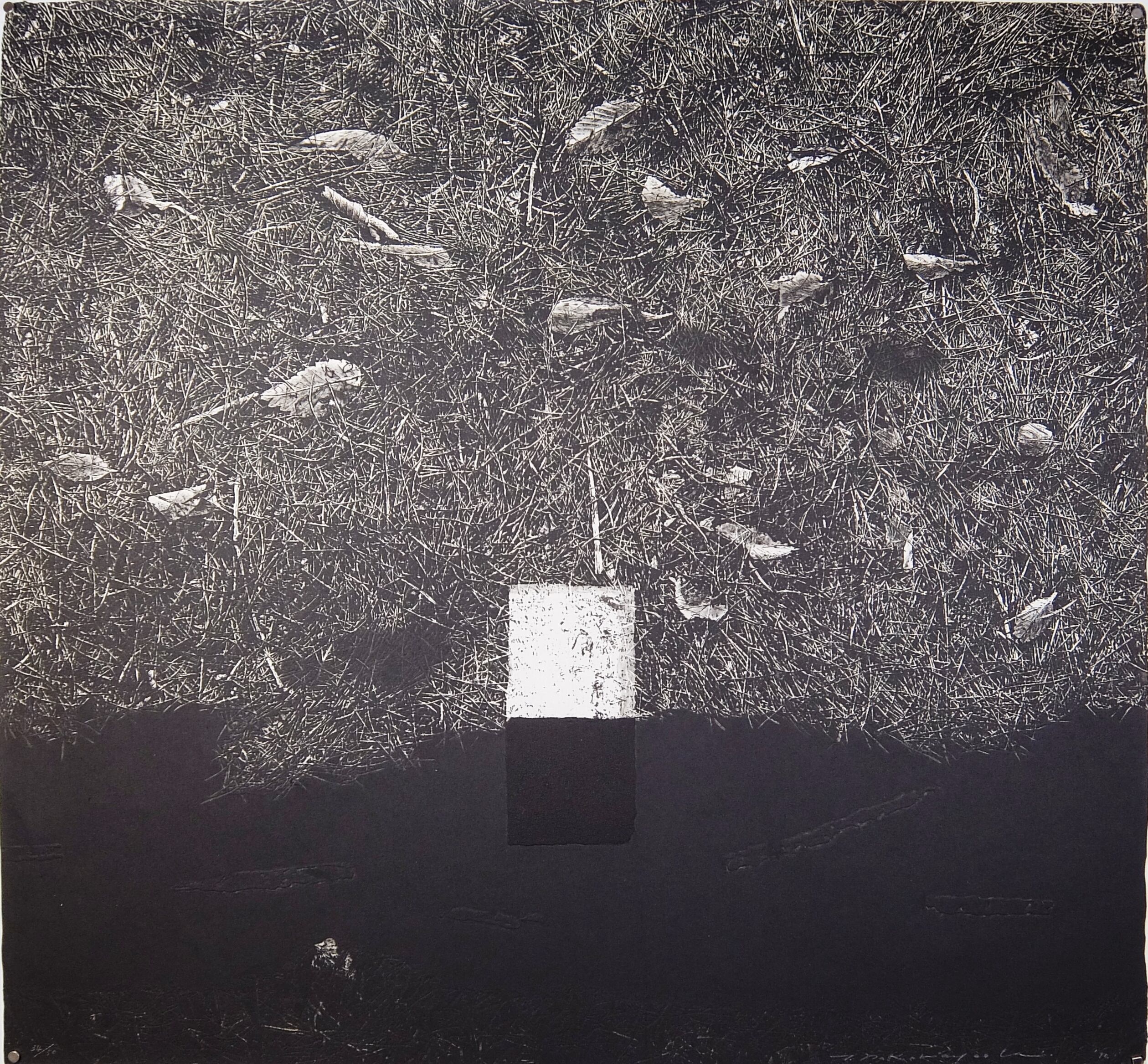 Tadayoshi Nakabayashi 中林 忠良 1937- | 京都アートゾーン神楽岡 WEB