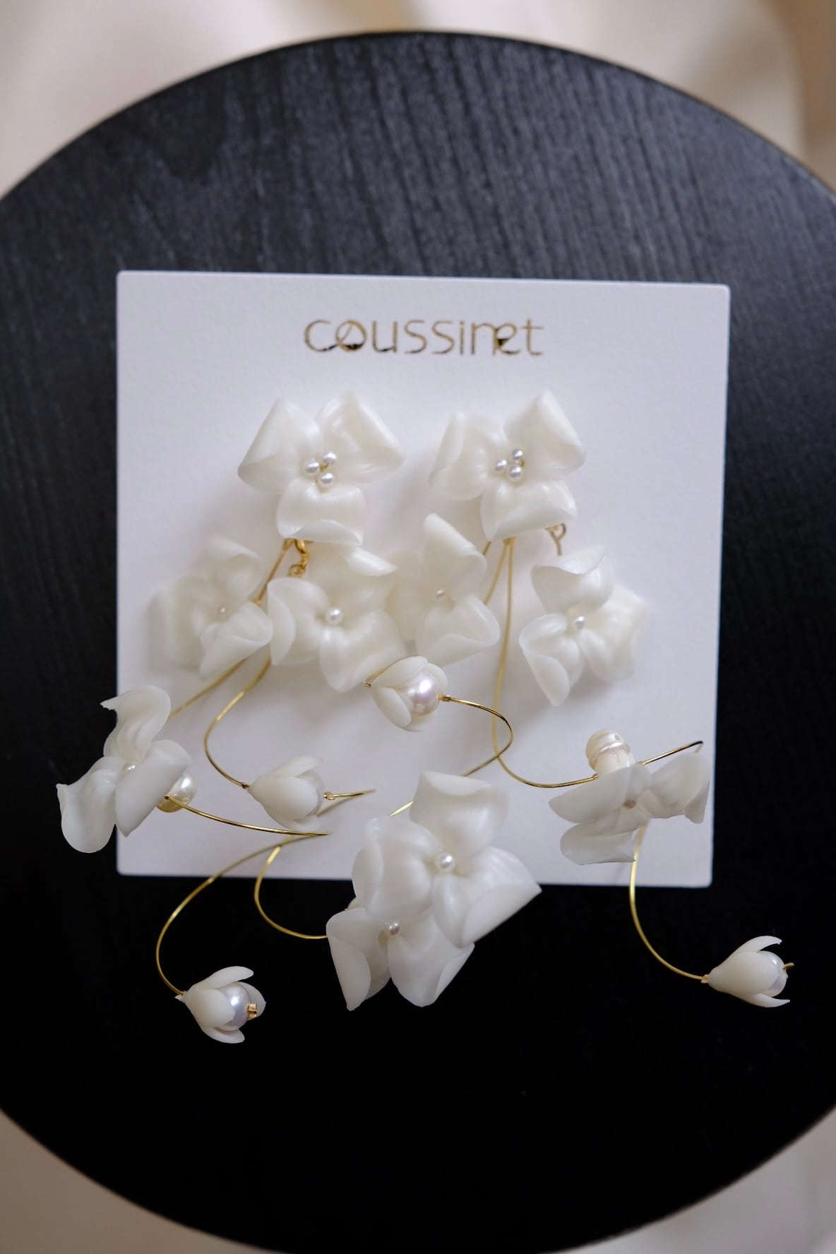 coussinet22