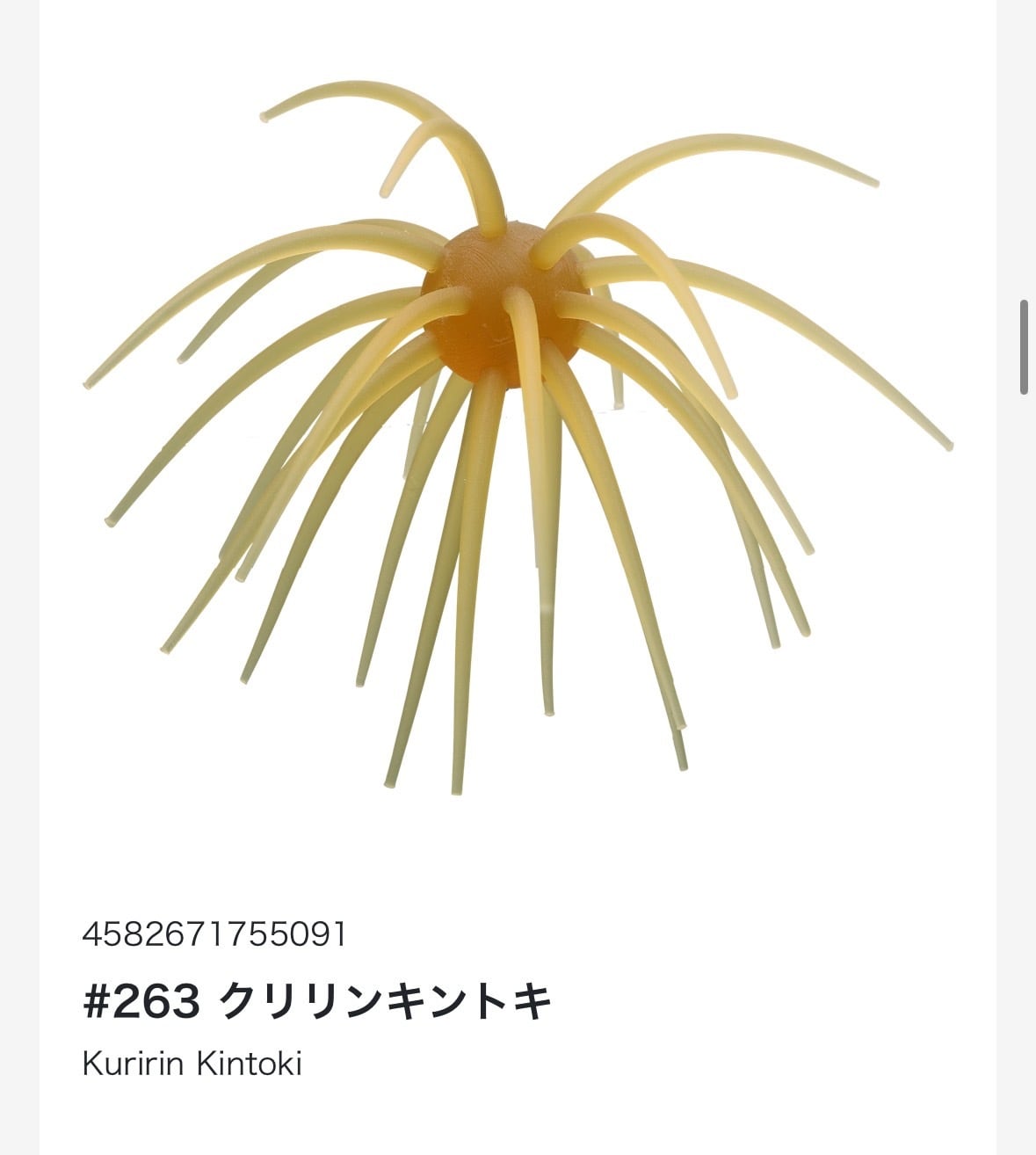 コイケ17㎜ソフトマテリアル/HIDEUP | TRIBE NETSTORE