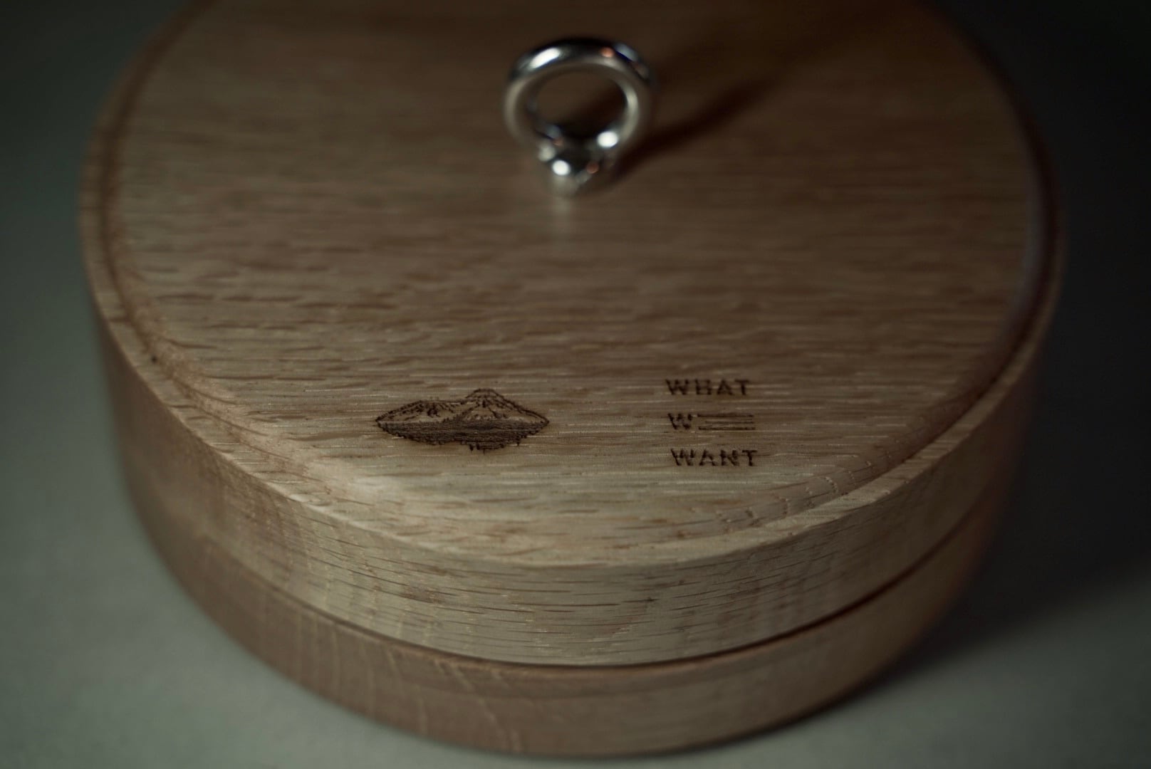 WHAT WE WANT × Geek Field _ KATORI Geek model | Geek Field