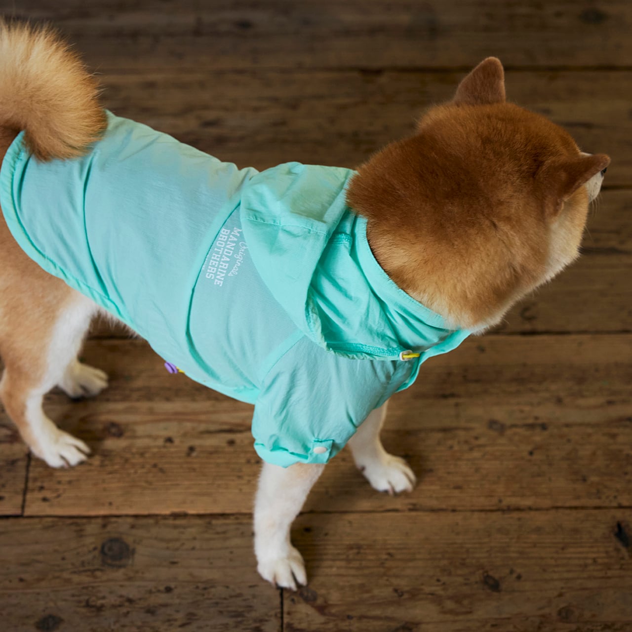 WINDBREAKER（XL.XXL） ウインドブレーカー | MANDARINE BROTHERS
