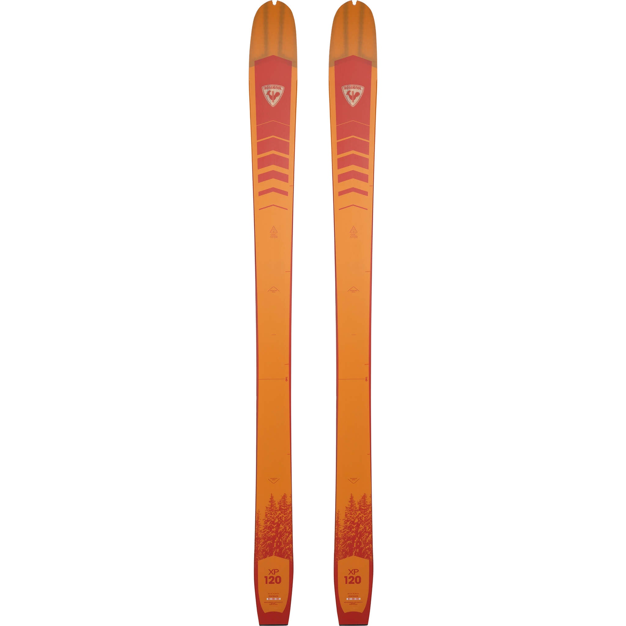 Rossignol XP 120 Positrack Ski | Boulder Nordic & Cycle Sport