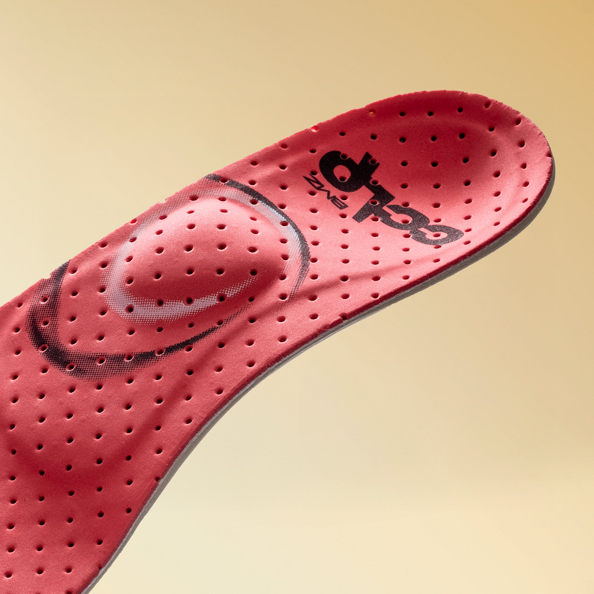 カルパワースキー カーボン6