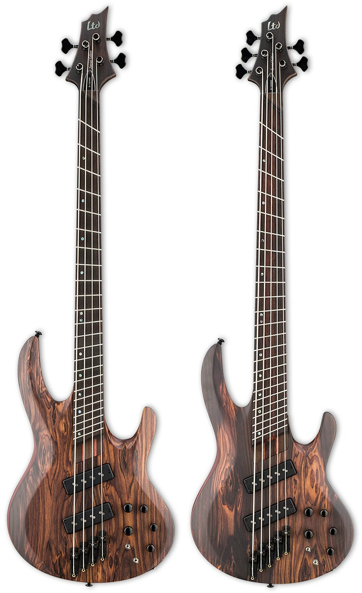 Gear Otaku: LTD からファンドフレットベースB-1004SE / B-1005SE