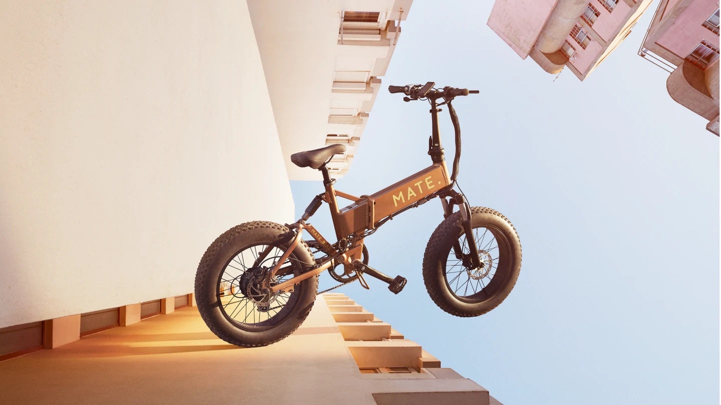 SUGINO GIGAS NJS Track Cog | ブローチャーズ - BROTURES ONLINE