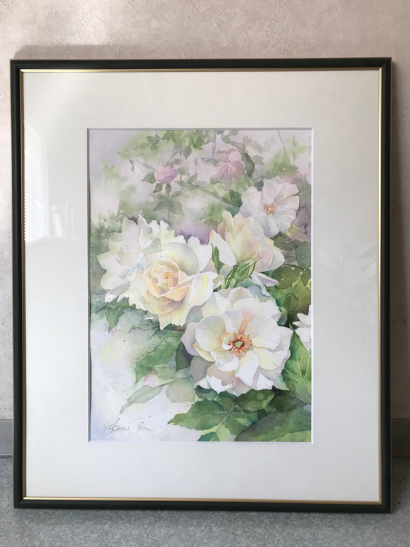 バラ（薔薇）・ローズの透明水彩画 白薔薇 花の絵 F6 原画 インテリア