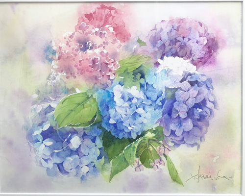透明水彩画 紫陽花（あじさい）F10サイズ 額縁付 原画 新築・引越し