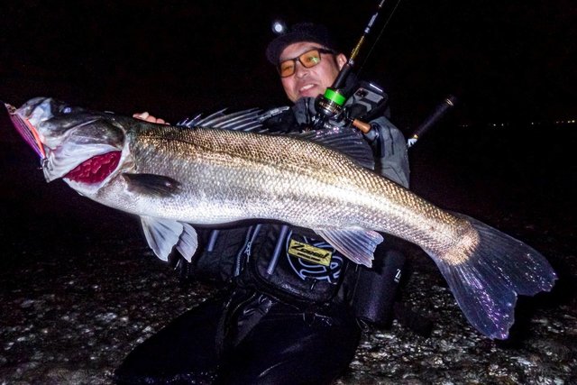 ダイワ シーバスロッド モアザン 90MLM・J(2ピース)(90MLM): 竿｜釣具