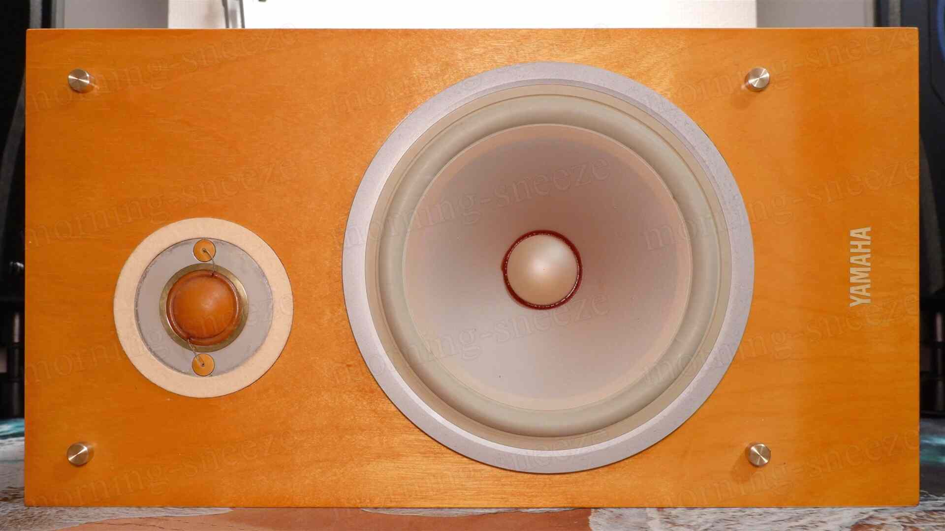 YAMAHA NS-1 classics をメンテナンスする - いつか消える文章