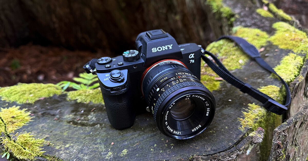 α7IIとXR RIKENON 50mm f2で飯高檀林を撮ってきた - カメラが欲しい