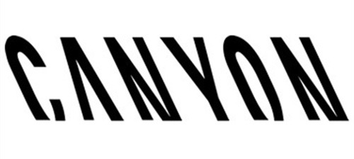 Canyon FLASH 800 Frontlight Set 德國設計一體式車燈組（含碼錶座