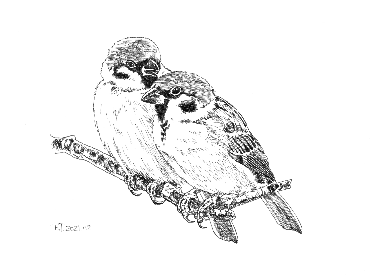 ペン画教室1日体験］ボールペン画の世界を体験しよう！/アート・アンド