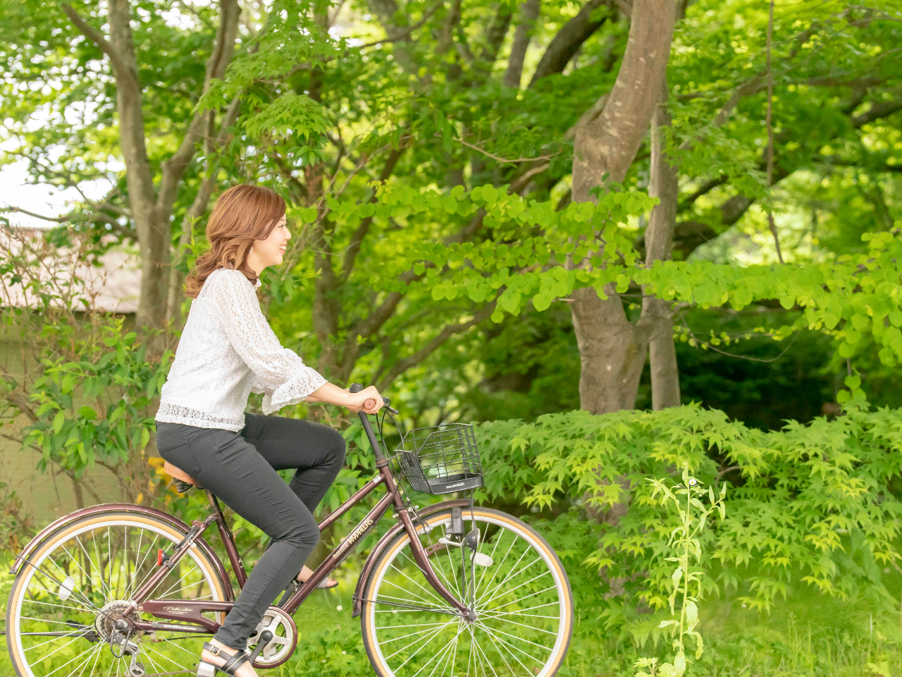軽井沢の自然と観光スポットをめぐる～ 森林浴サイクリング/軽井沢