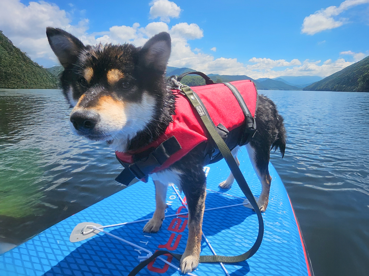 2025年開催☆【福島・裏磐梯】絶景の秋元湖でSUP体験！初心者OK＆寒い