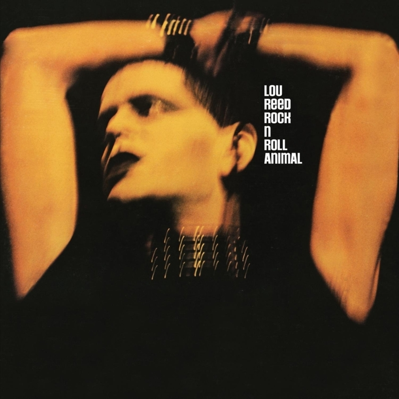 ルー・リード Lou Reed - Rock n Roll Animal & Lou Reed Live (RCA