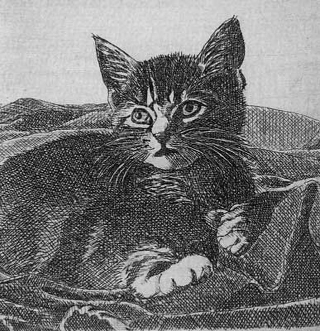 布の上の子猫/ 銅版画 (額あり） | iichi 日々の暮らしを心地よくする