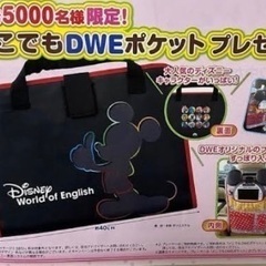 新品未使用】DWE ミッキーメイトカーポケット (merci777) 柏のキッズ