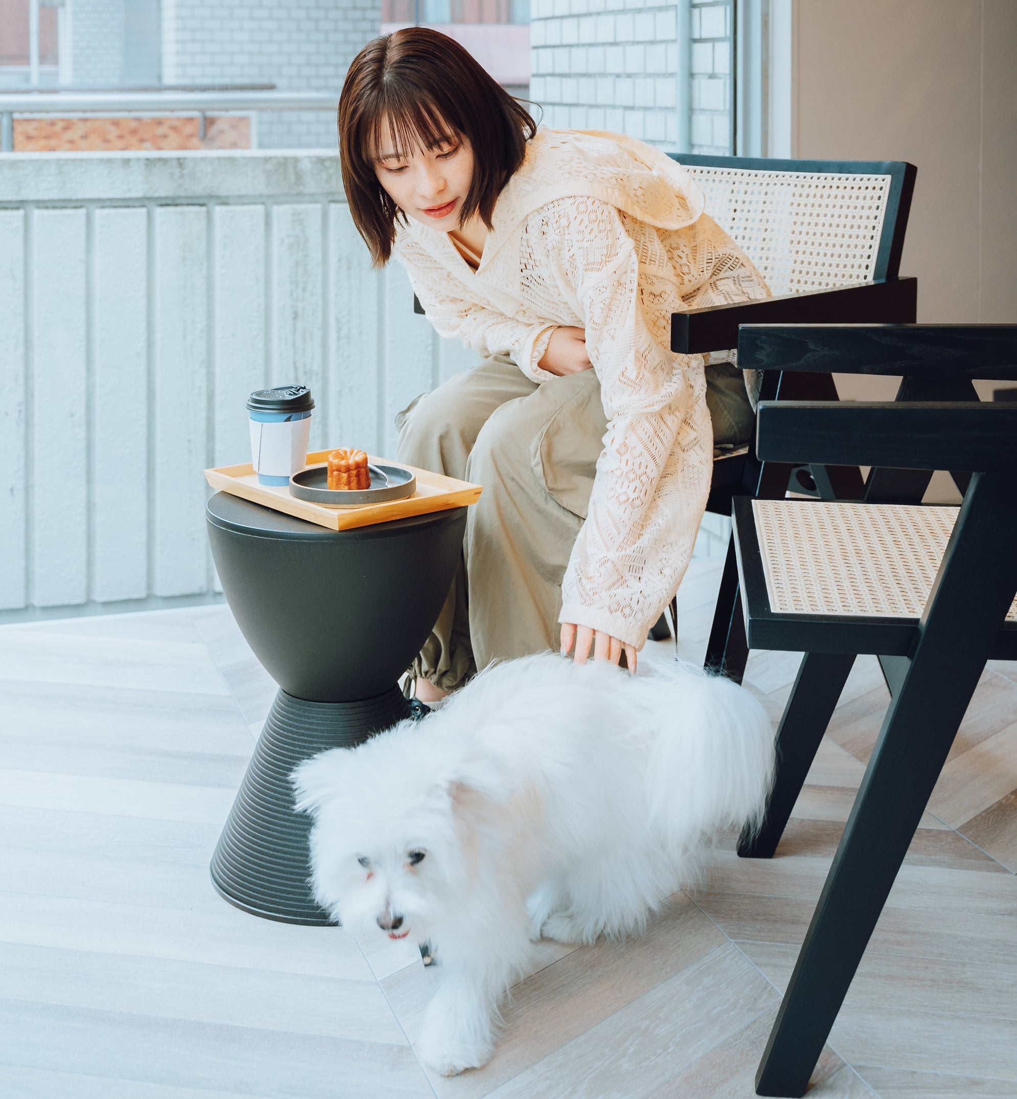 DOG FRIENDLY – SHARK COFFEE