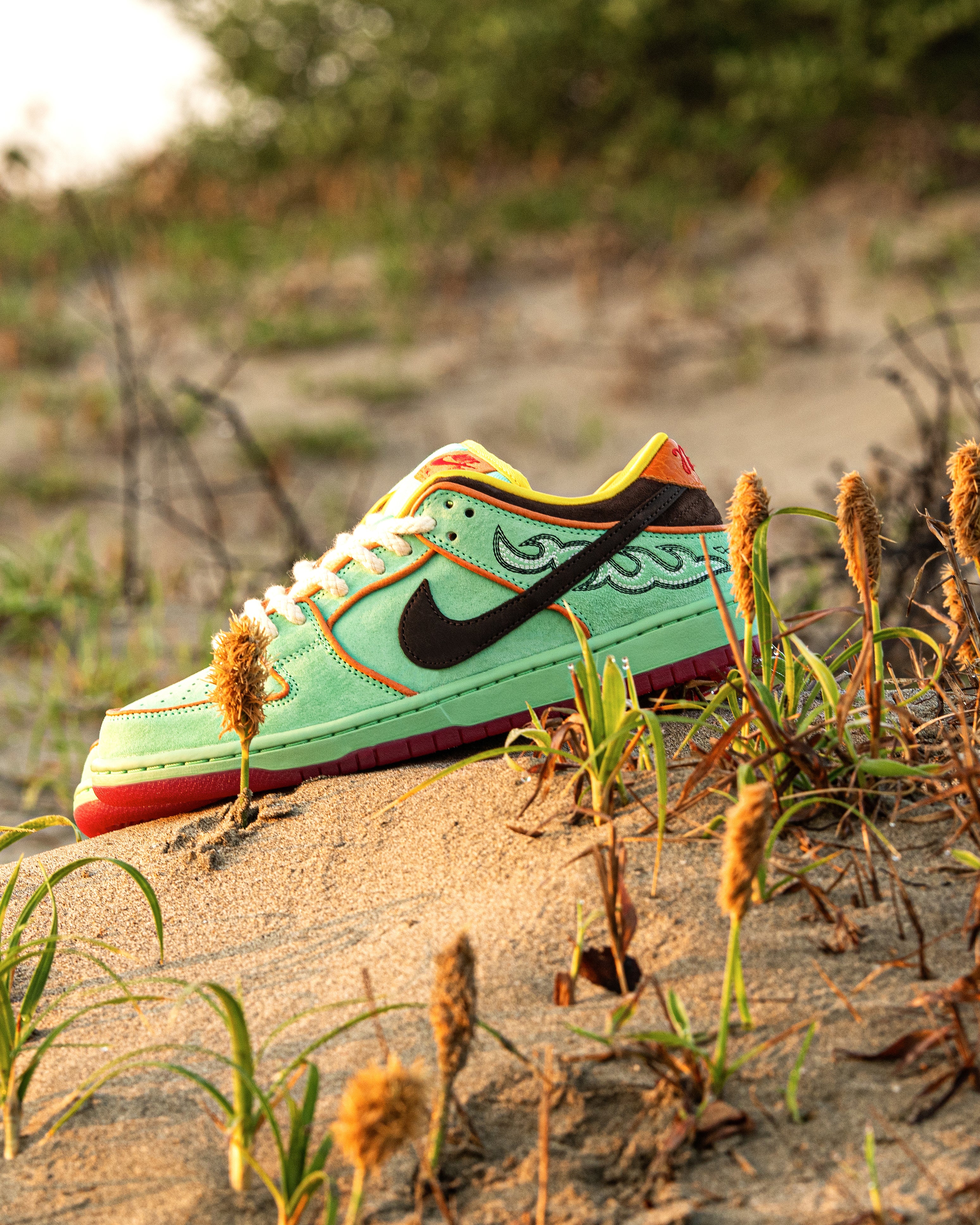 ナイキ スケートボーディング | NIKE SB DUNK LOW PRO QS 