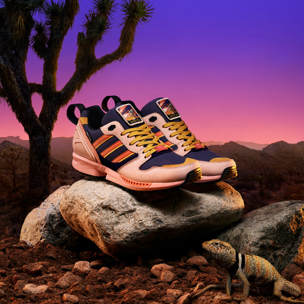 NATIONAL PARK FOUNDATION X ADIDAS ZX 5000 