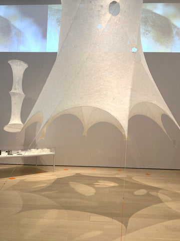 Vicarious Living at: Reopened MoMA – Curina