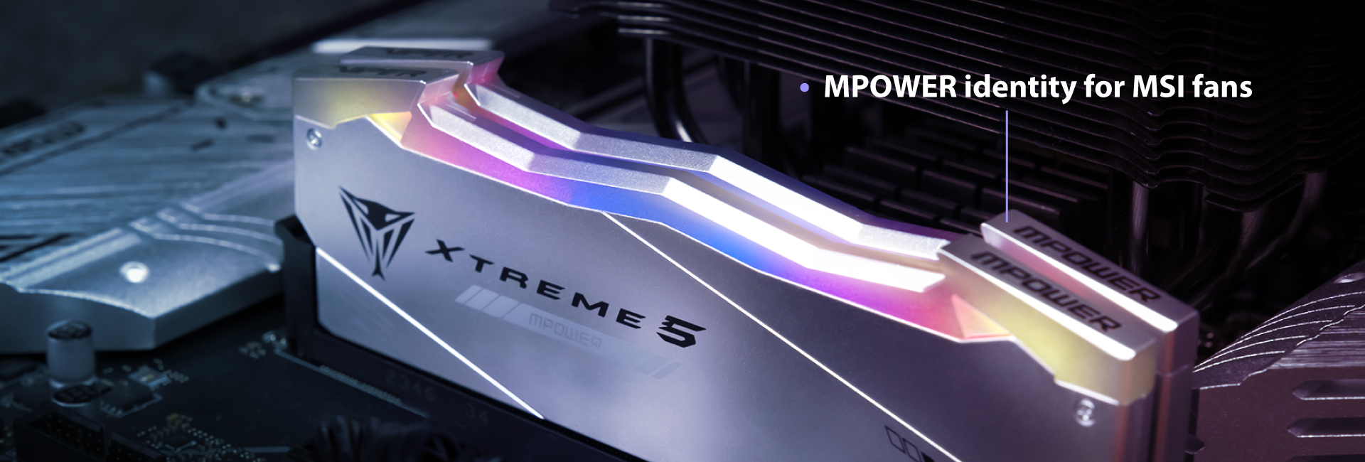 Viper Venom RGB & Non-RGB DDR5 Performance DRAM | Viper Gaming