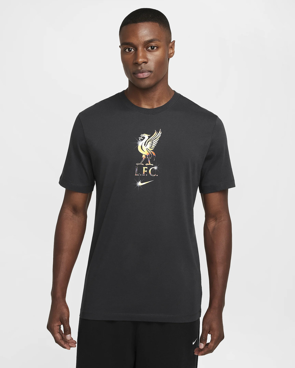 Nike Liverpool FC Mens Nike Crest Tee DK