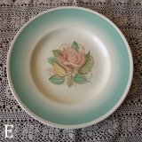 Patricia Rose - Collection Connection