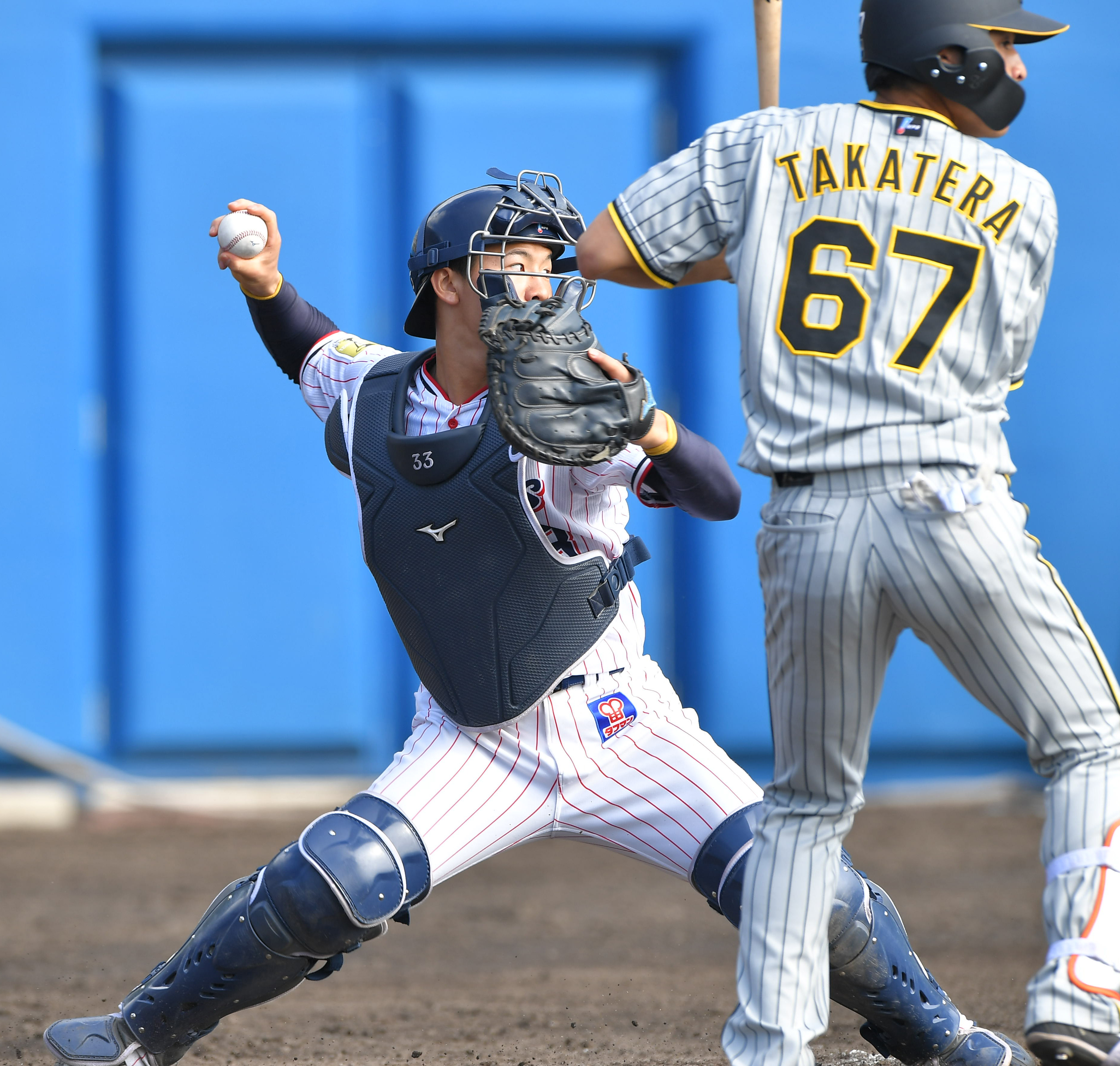 東京ヤクルトスワローズ 内山壮真 選手 実使用 バット 支給品 野球 NPB