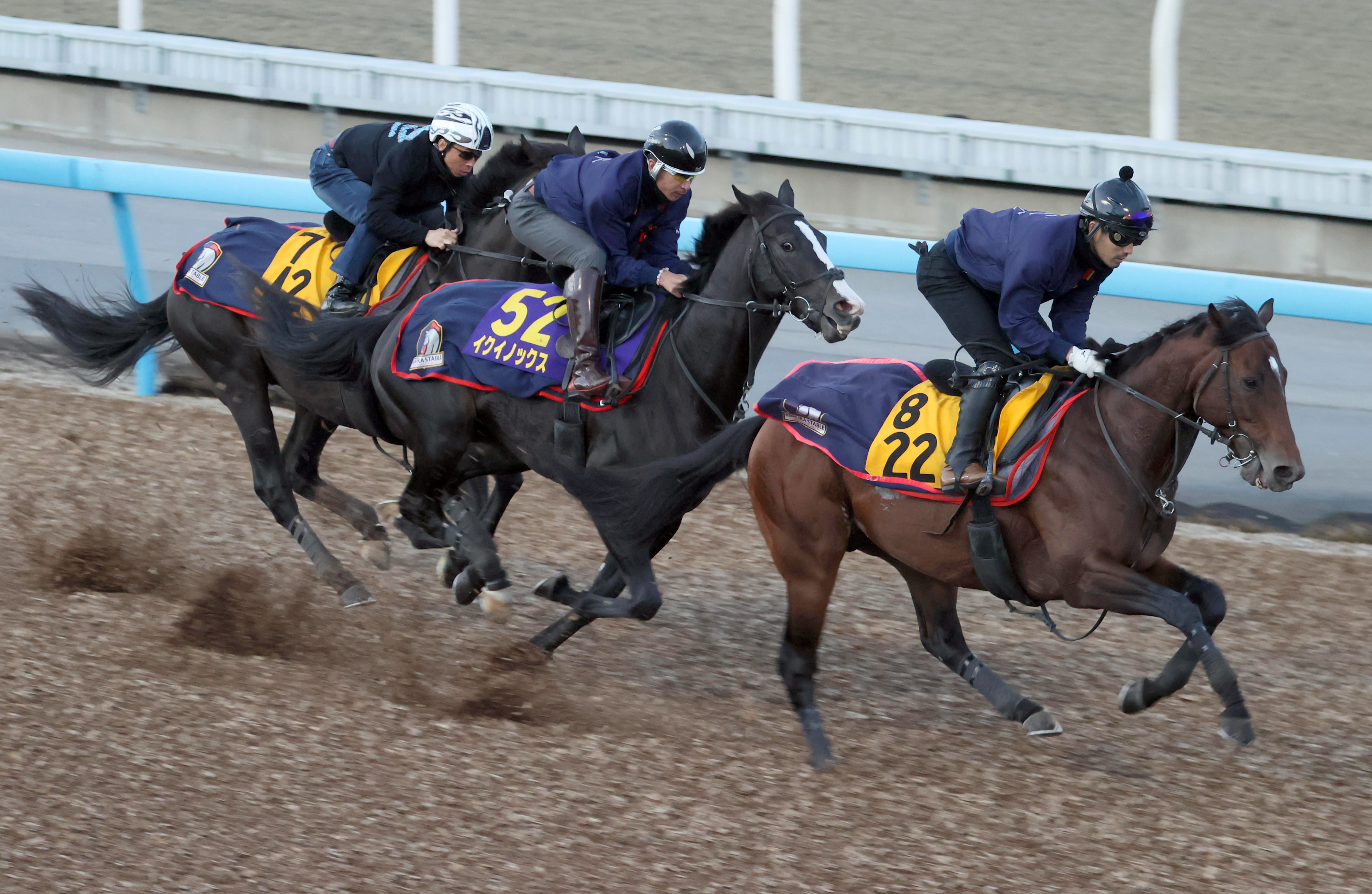 天皇賞・秋】天才が覚醒！イクイノックス最少キャリアVへラスト11秒