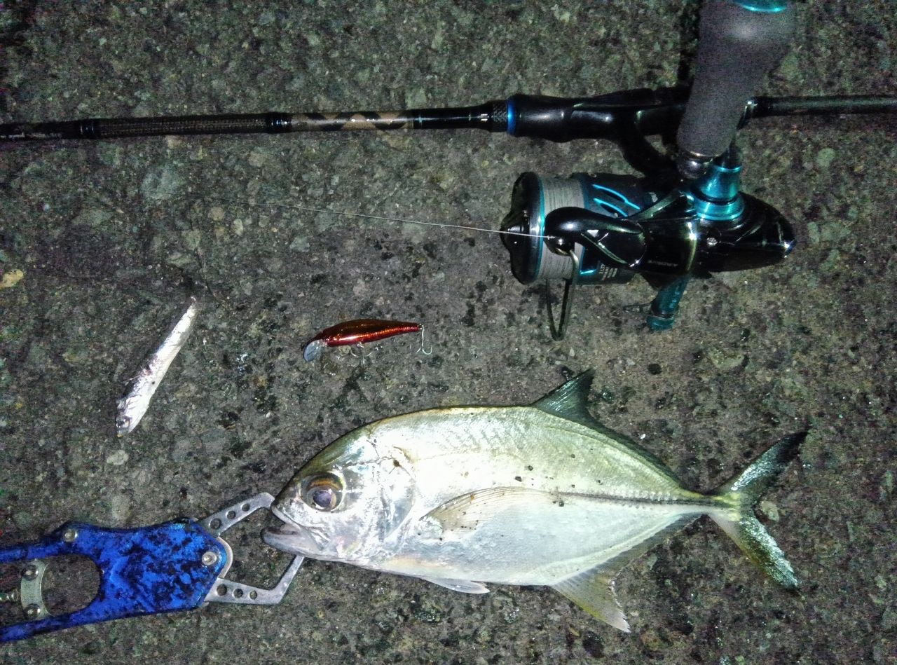 AbuGarcia ソルティースタイルメバル STMS-762ULT-KRの最安値