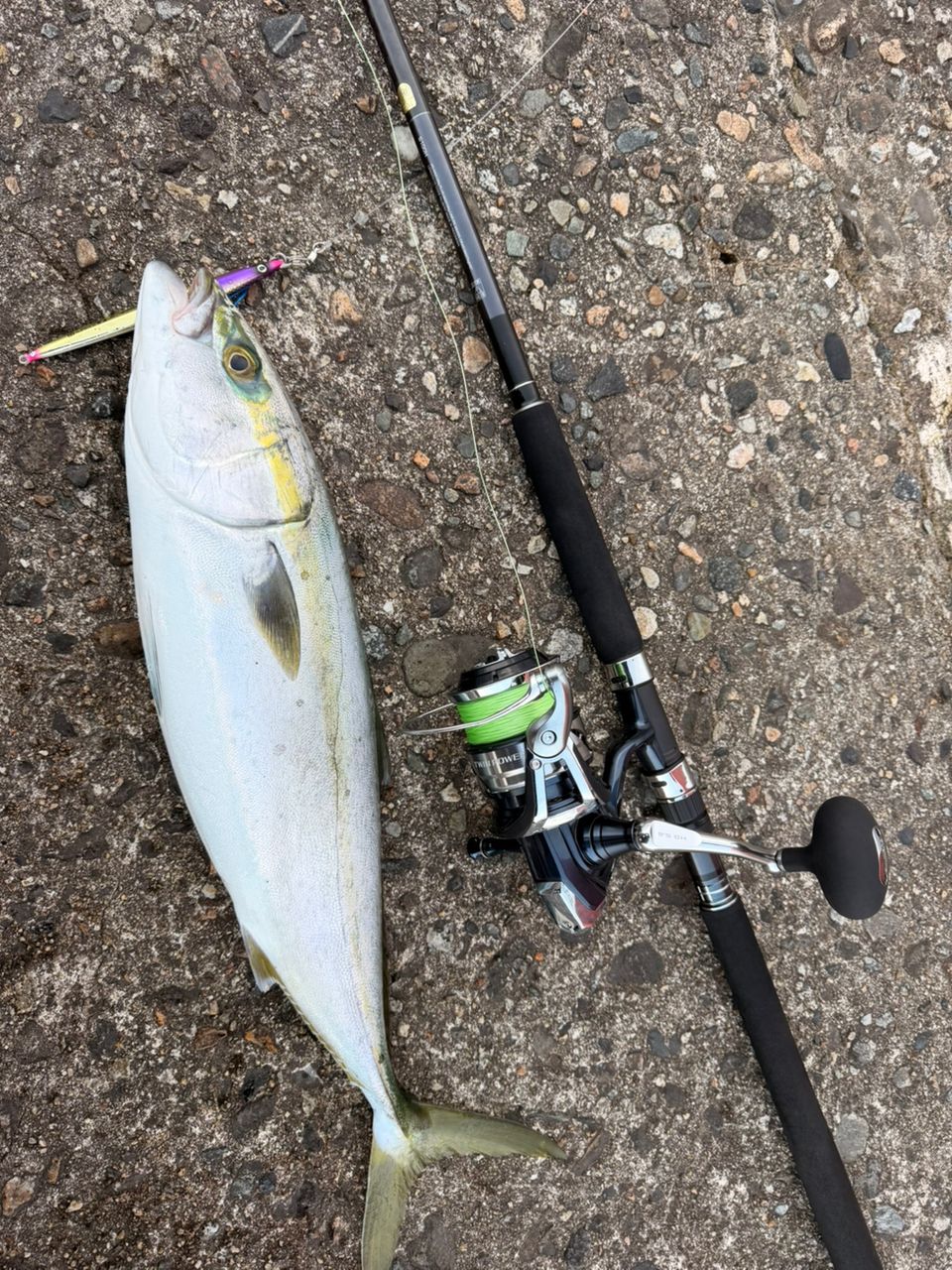 SHIMANO 21ツインパワー SW 10000HGの最安値・インプレ・釣果 | 本音の