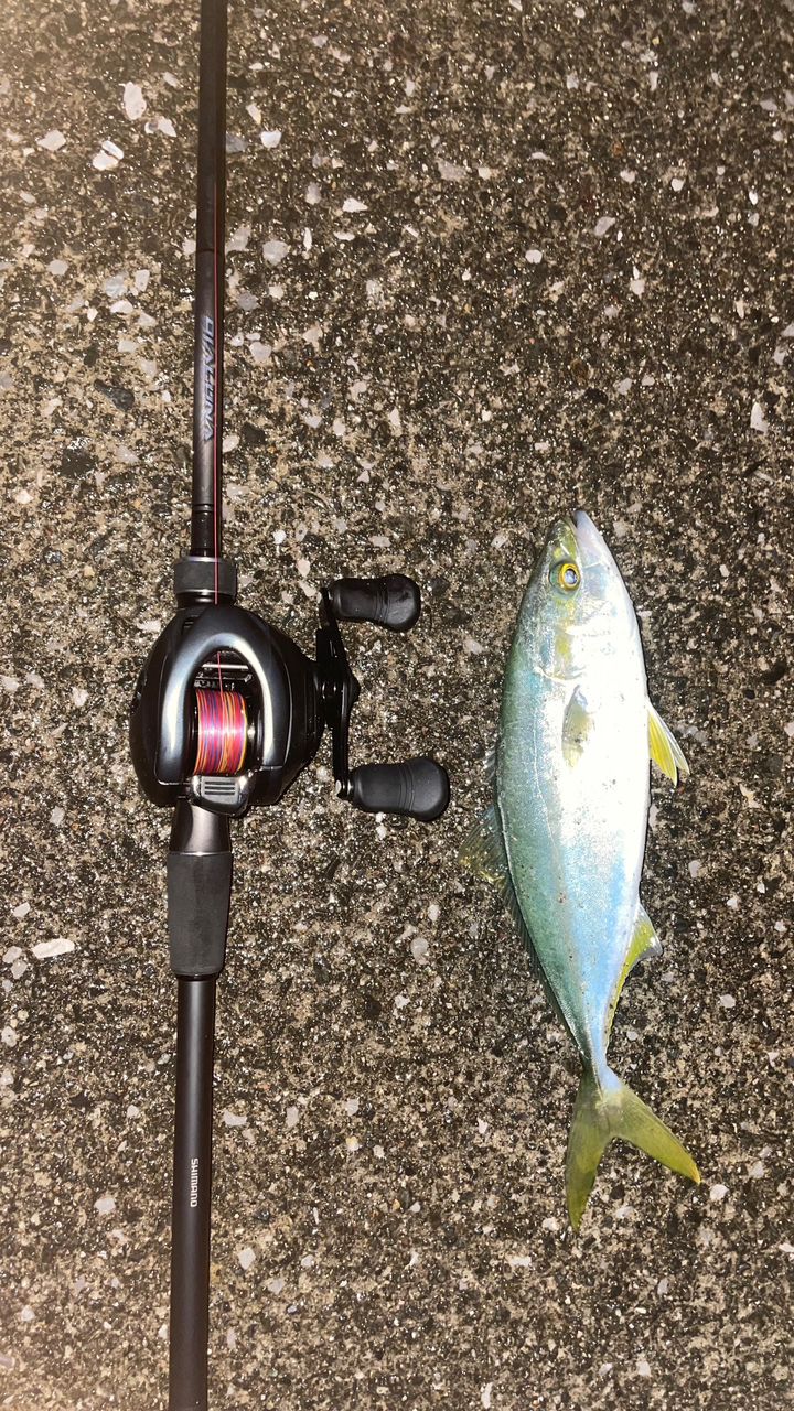 SHIMANO 18ディアルーナ B76MHの最安値・インプレ・釣果 | 本音の