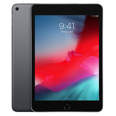 第5世代】iPad mini5 Wi-Fi 256GB スペースグレイ MUU32J/A A2133|中古
