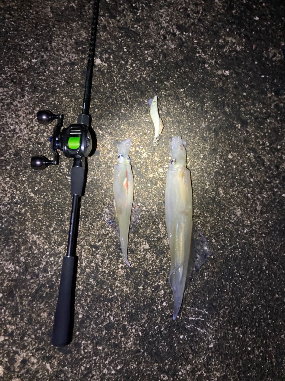 SHIMANO 18ディアルーナ B86MLの最安値・インプレ・釣果 | 本音の