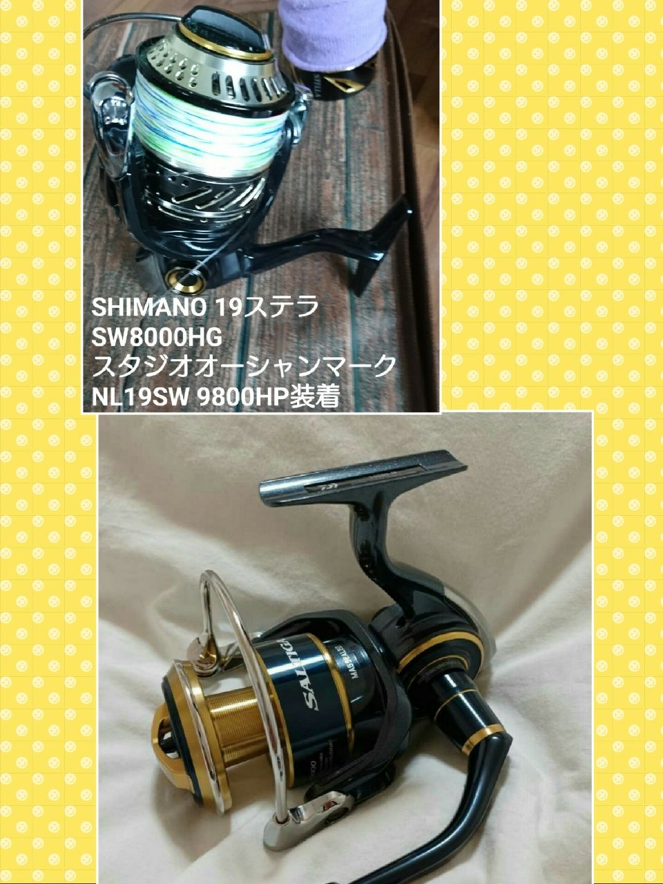 SHIMANO 19ステラ SW 8000HGの最安値・インプレ・釣果 | 本音の口コミ