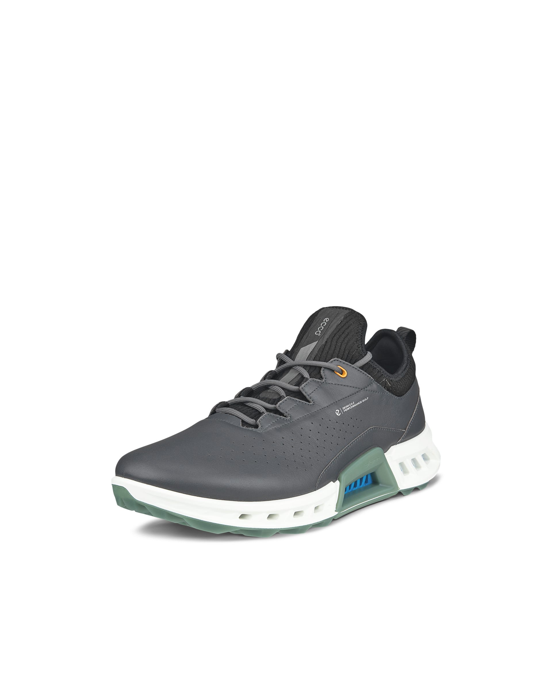 ECCO Golf BIOM C4 Men メンズ レザーGore-Texゴルフシューズ | グレー