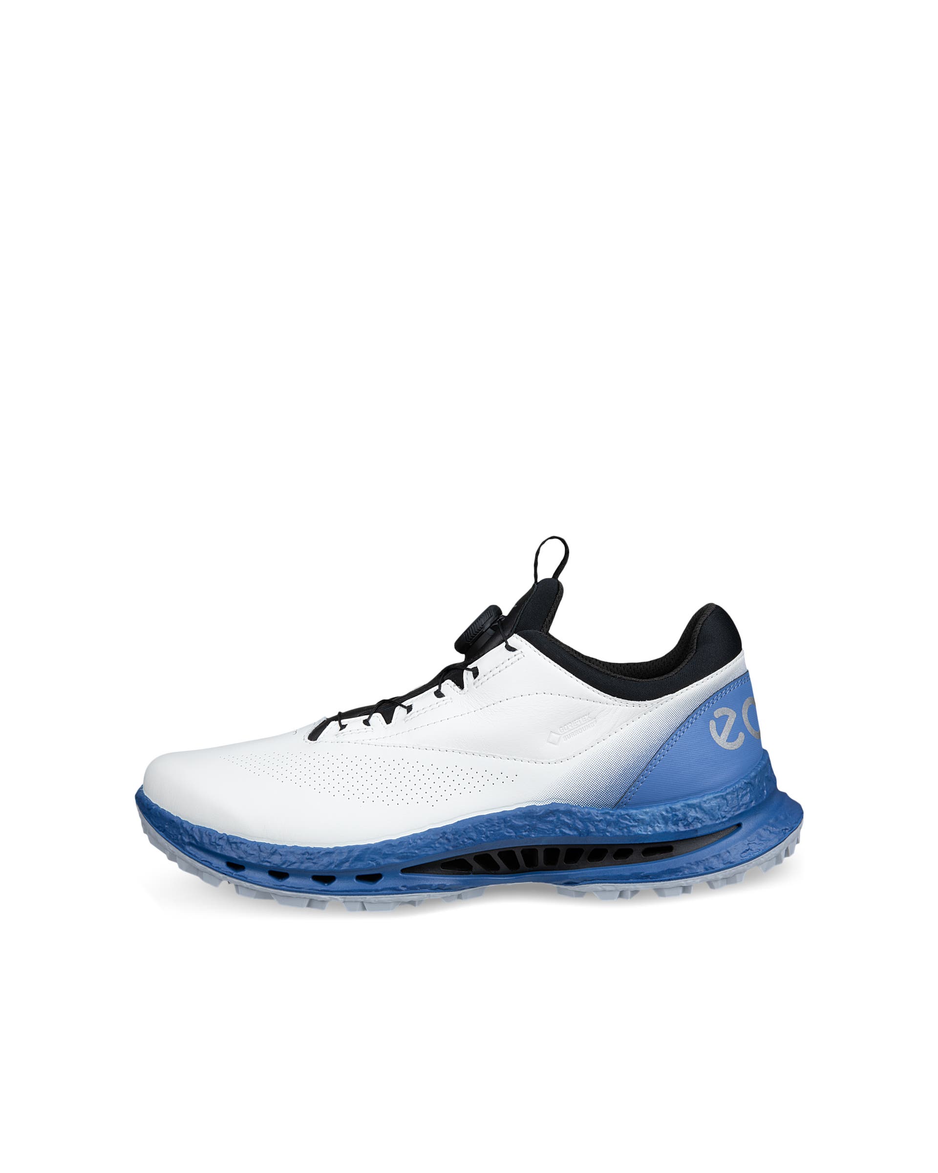 ECCO Golf BIOM C4 BOA Men メンズ レザーGore-Texゴルフシューズ | グレー