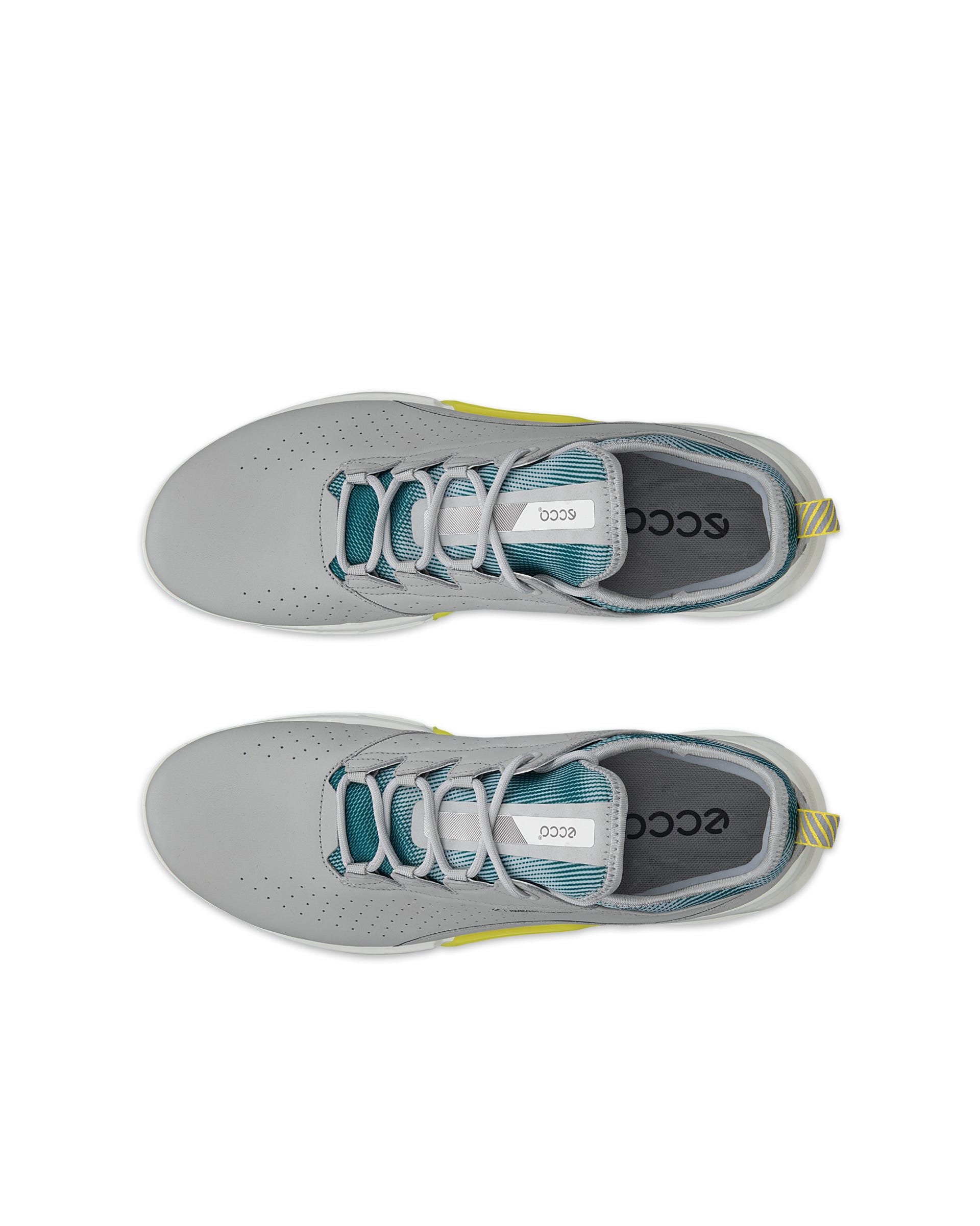 ECCO Golf BIOM C4 Men メンズ レザーGore-Texゴルフシューズ | グレー